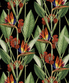 Strelitzia Wallpaper, Night