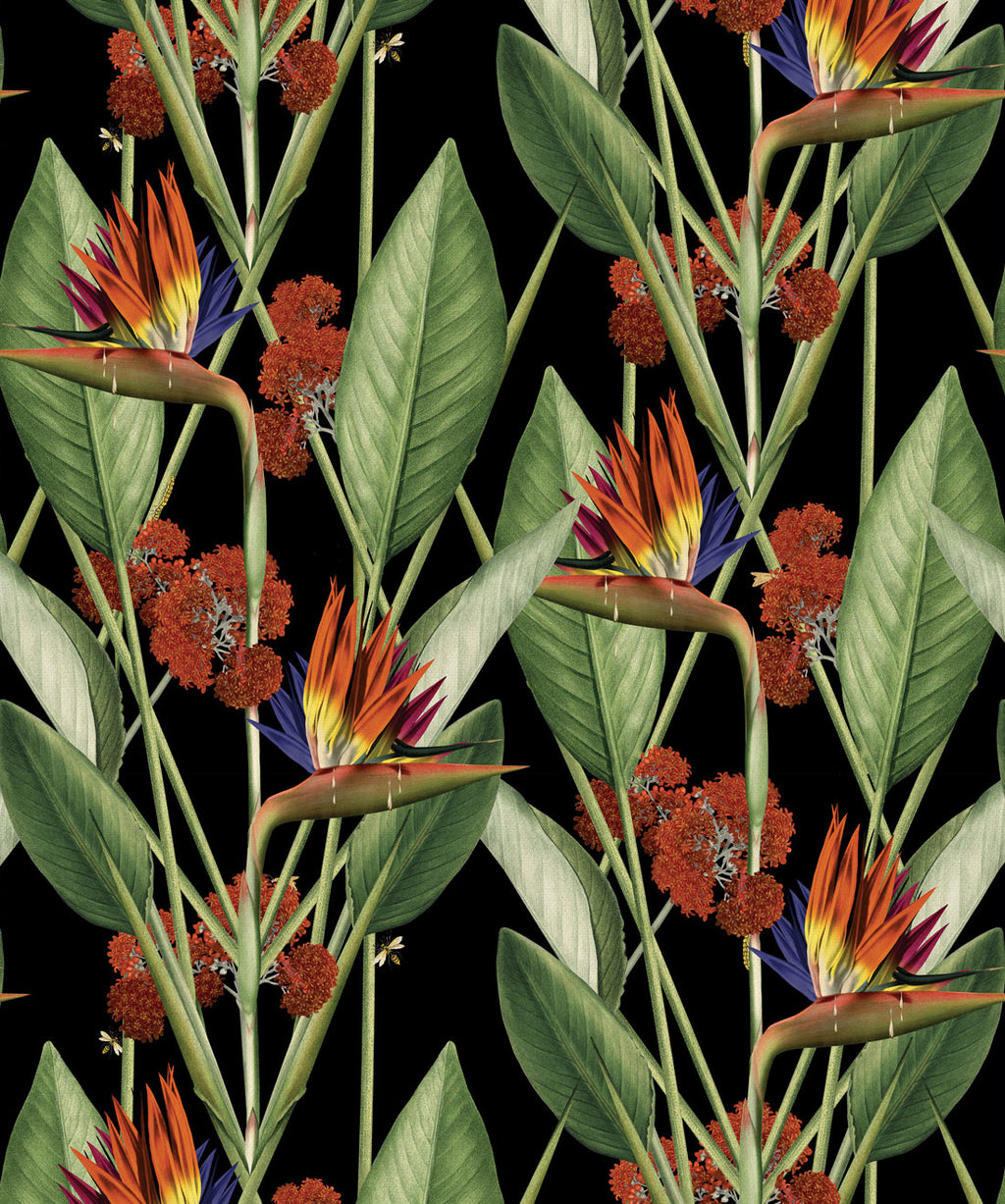 Strelitzia Wallpaper, Night