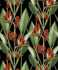 Strelitzia Wallpaper, Night