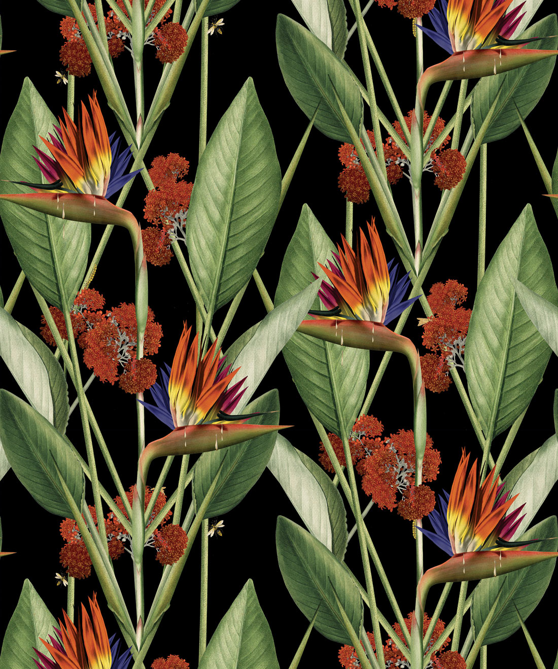 Strelitzia Wallpaper, Night
