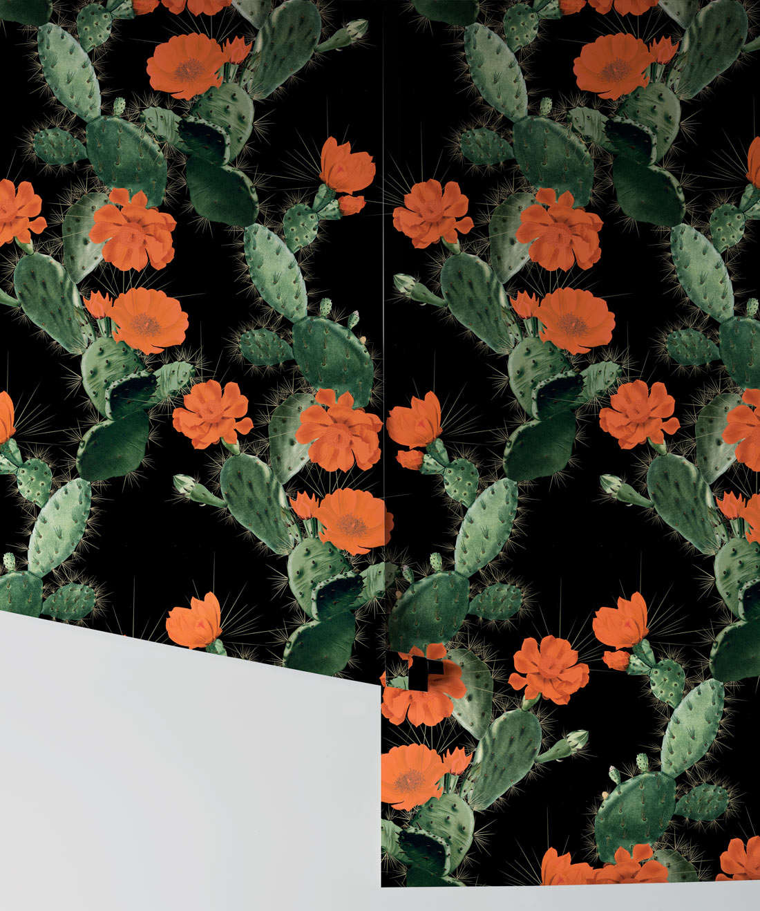 Cactus Wallpaper, Red Night
