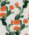 Cactus Wallpaper, Red Day