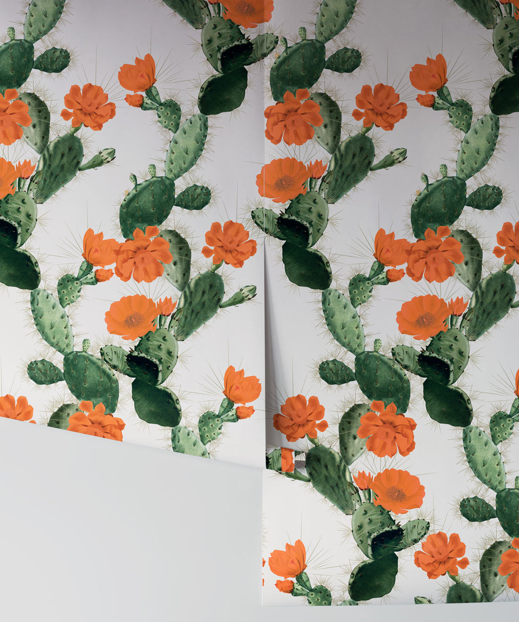 Cactus Wallpaper, Red Day