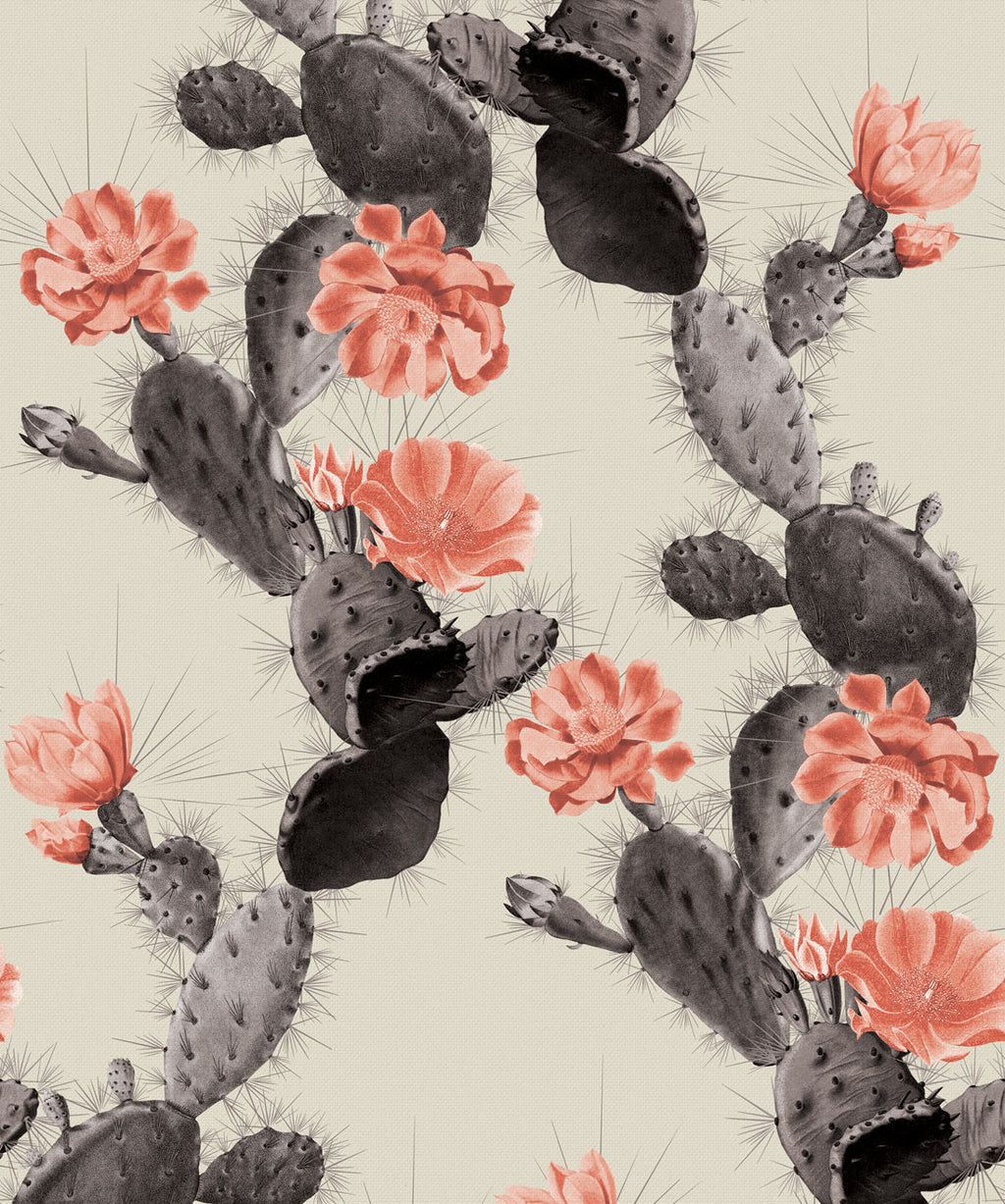 Cactus Wallpaper, Twilight Pink
