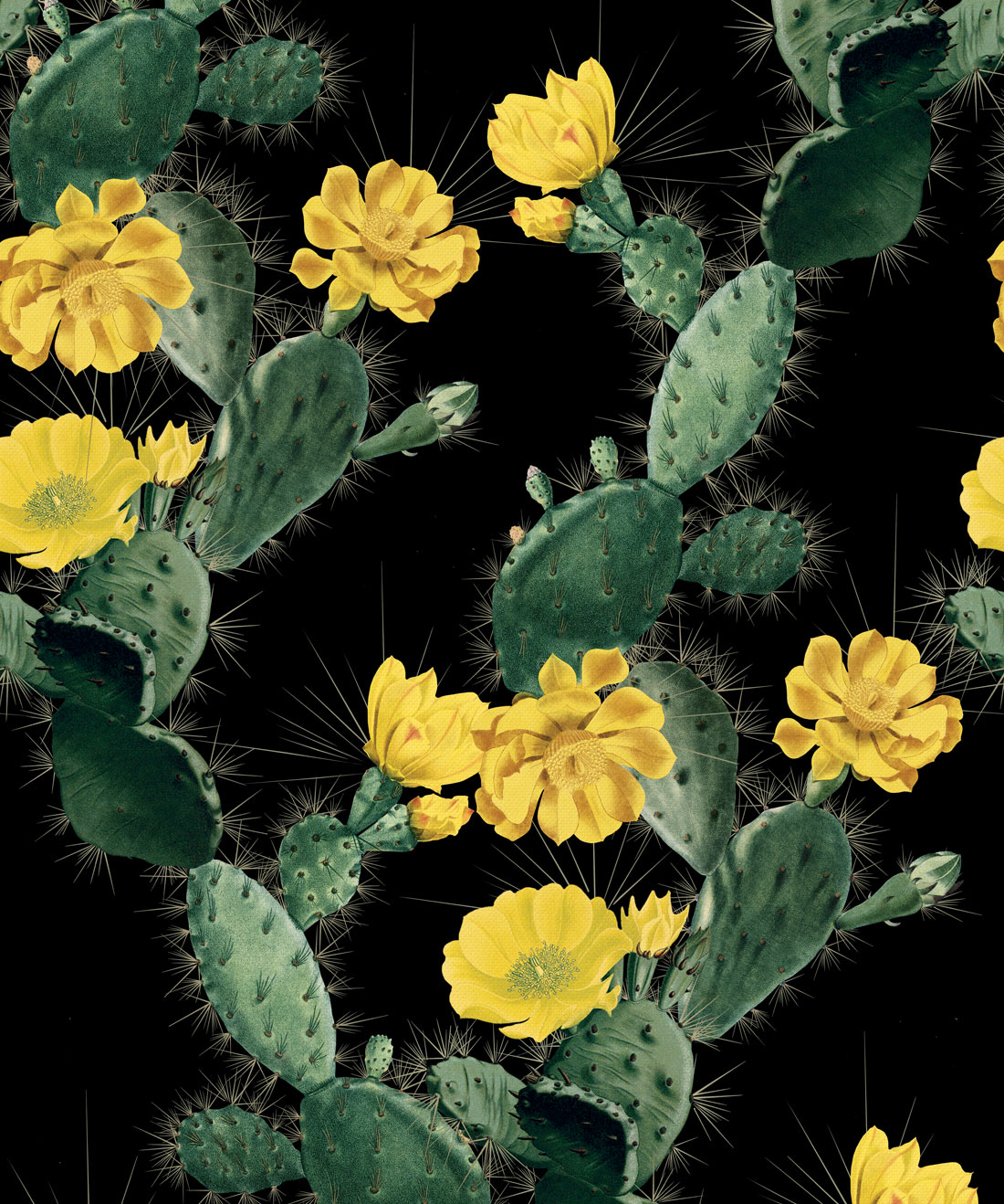 Cactus Wallpaper, Yellow Night