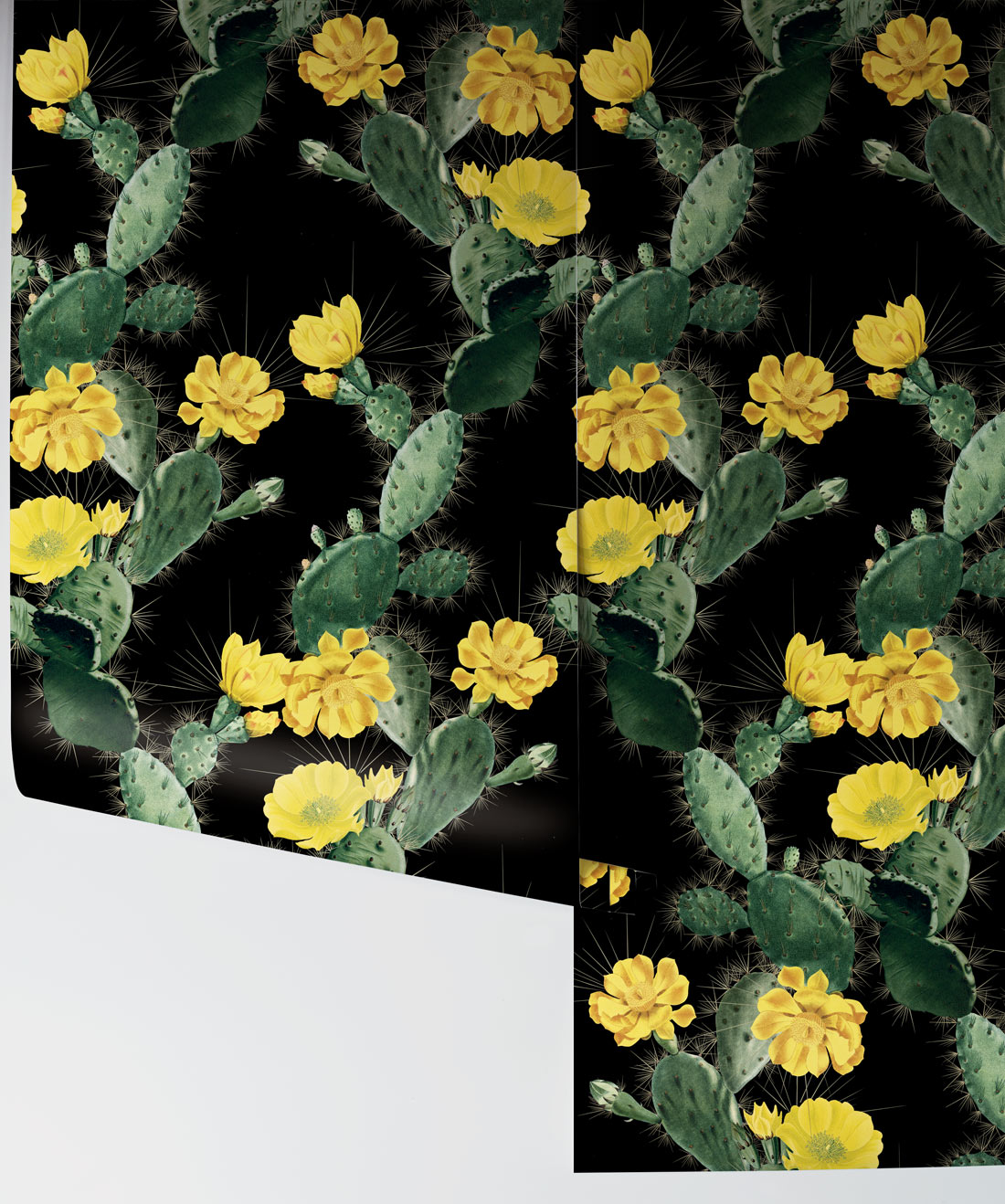 Cactus Wallpaper, Yellow Night