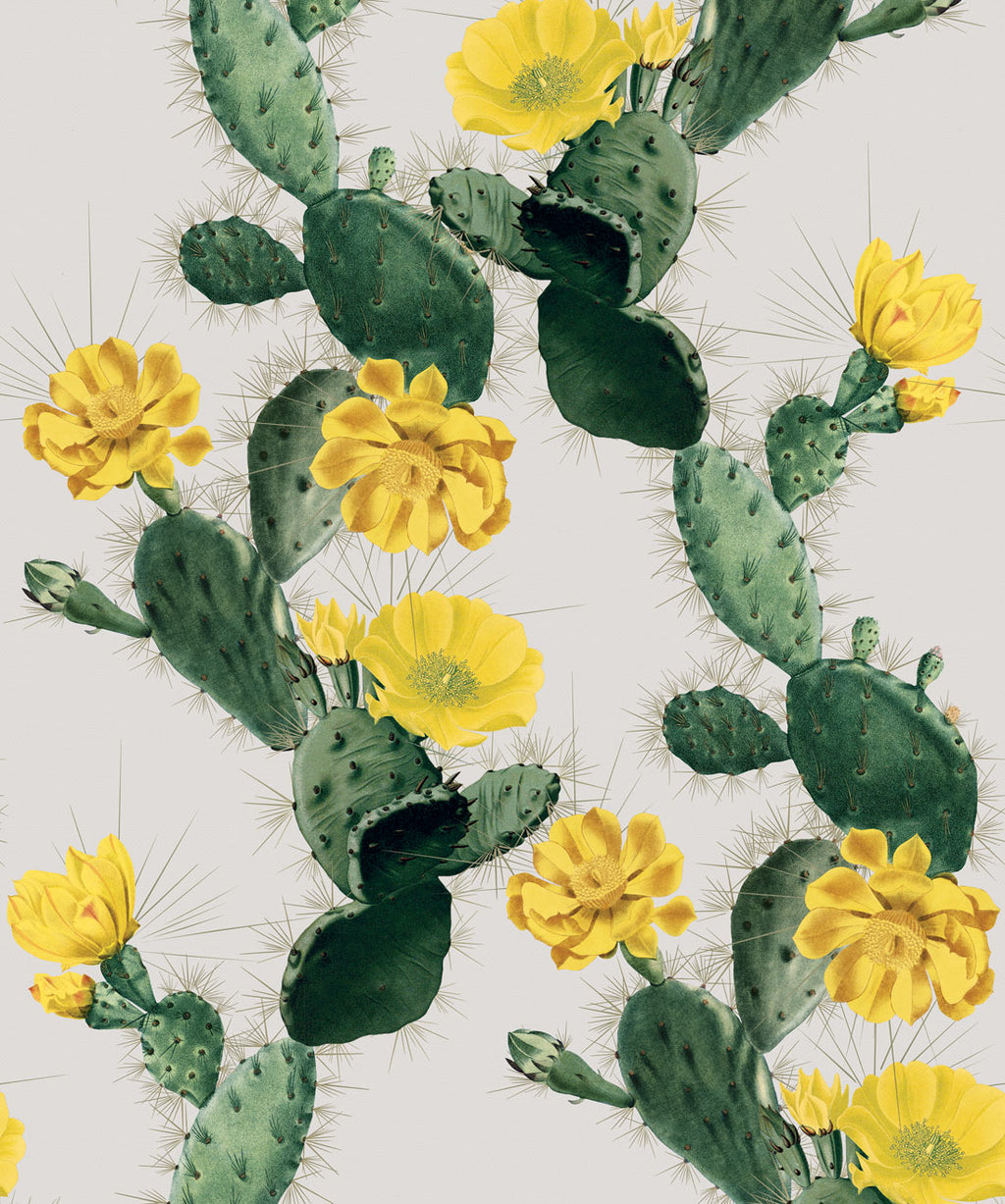 Cactus Wallpaper, Yellow Day