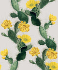 Cactus Wallpaper, Yellow Day