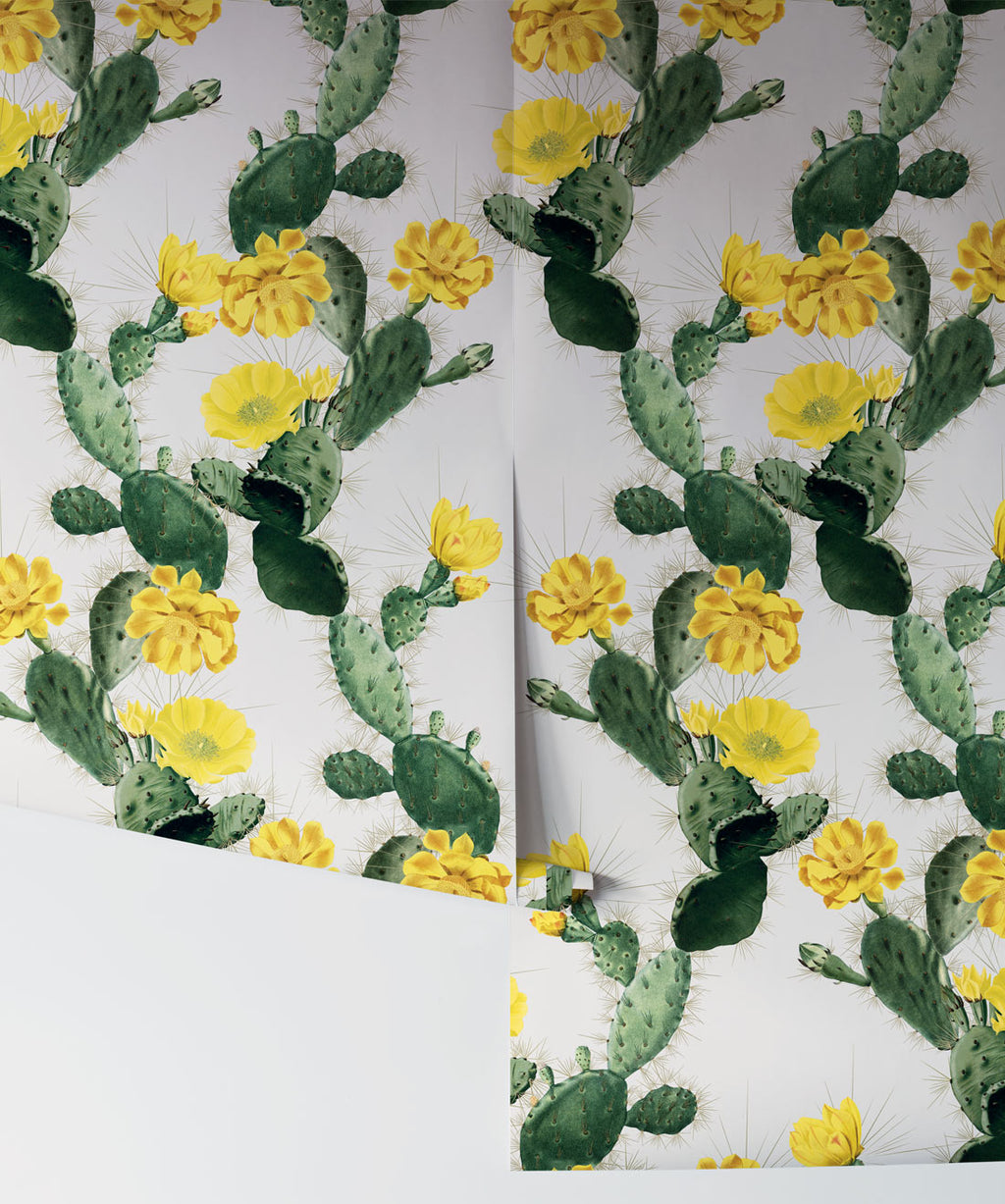 Cactus Wallpaper, Yellow Day
