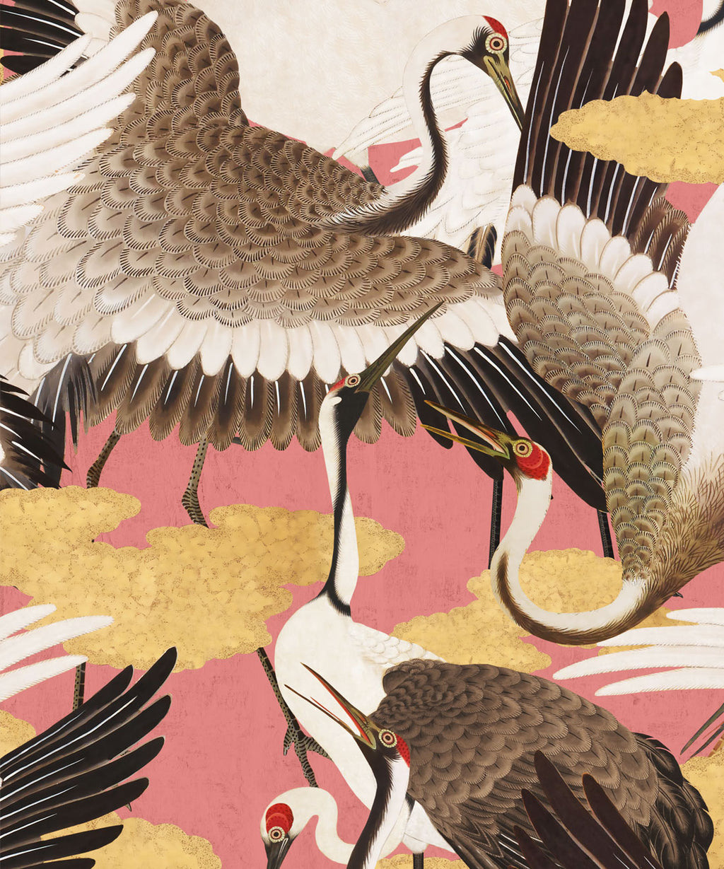 Cranes Wallpaper, Pinku
