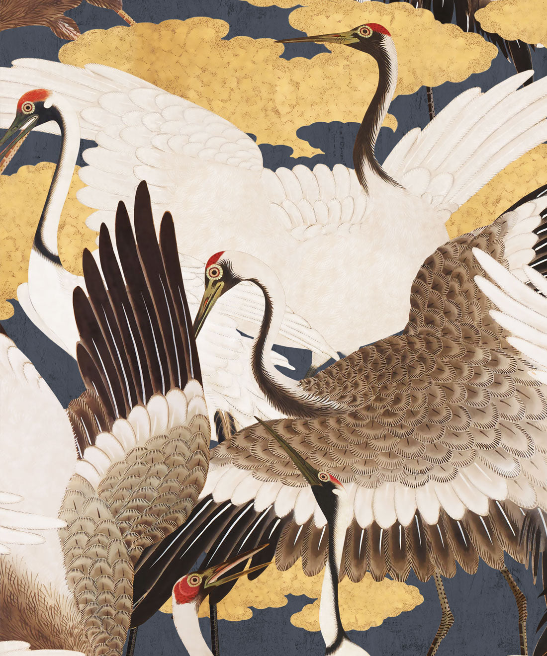 Cranes Wallpaper, Sora