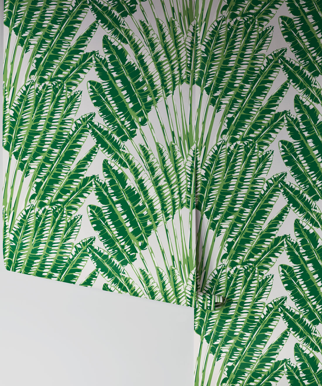 Feather Palm Wallpaper, Aloha