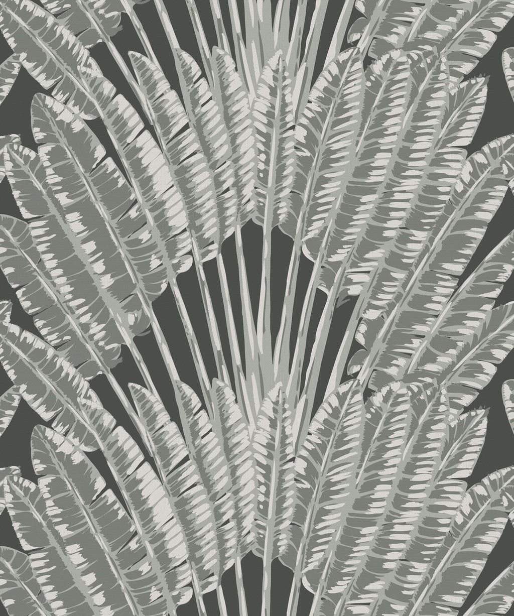 Feather Palm Wallpaper, Night Palm