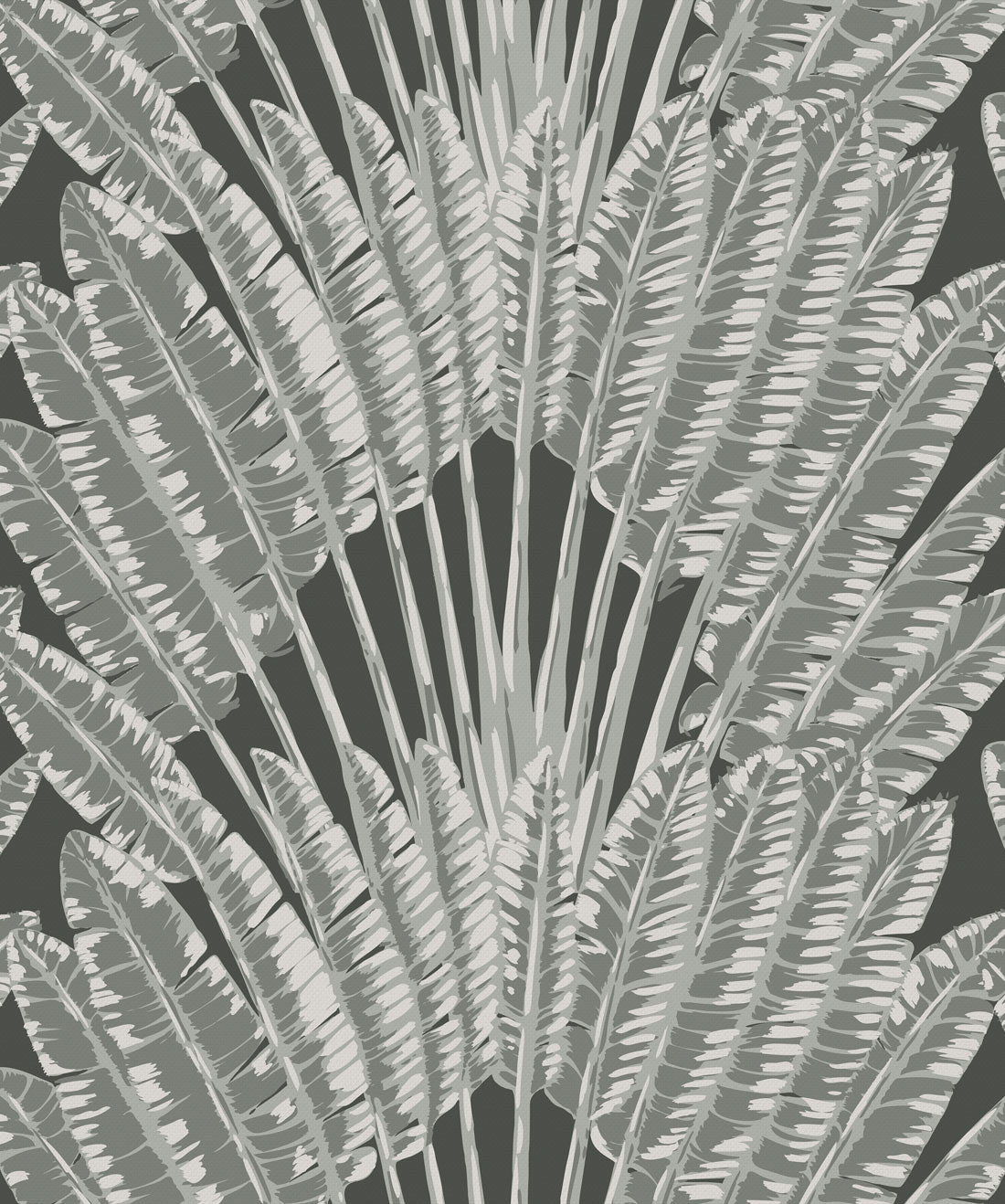 Feather Palm Wallpaper, Night Palm