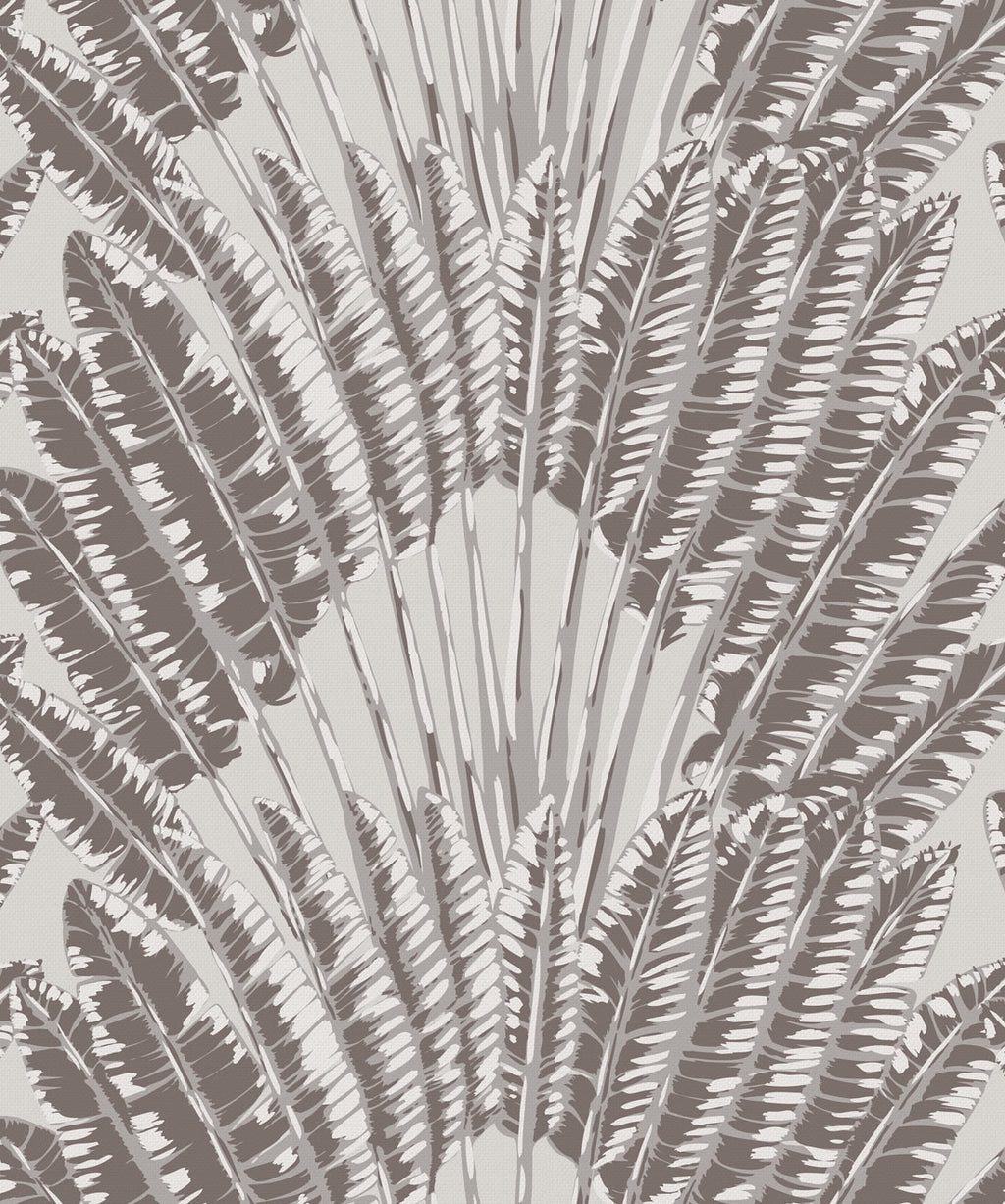 Feather Palm Wallpaper, Rock Face