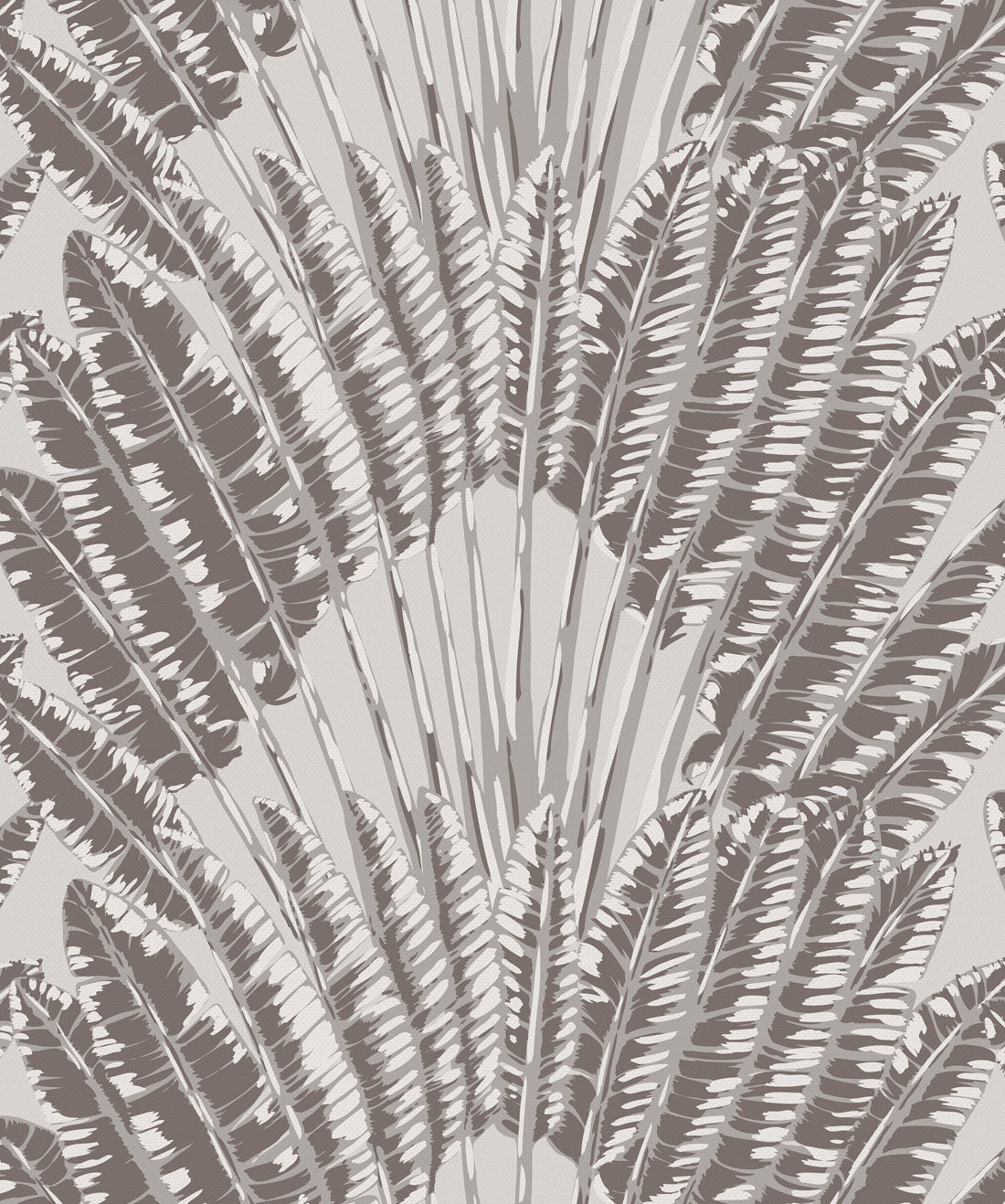 Feather Palm Wallpaper, Rock Face