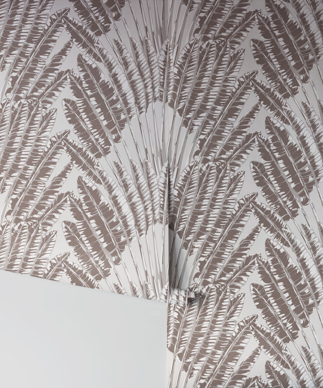 Feather Palm Wallpaper, Rock Face