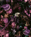 Fruitta Wallpaper, Violet