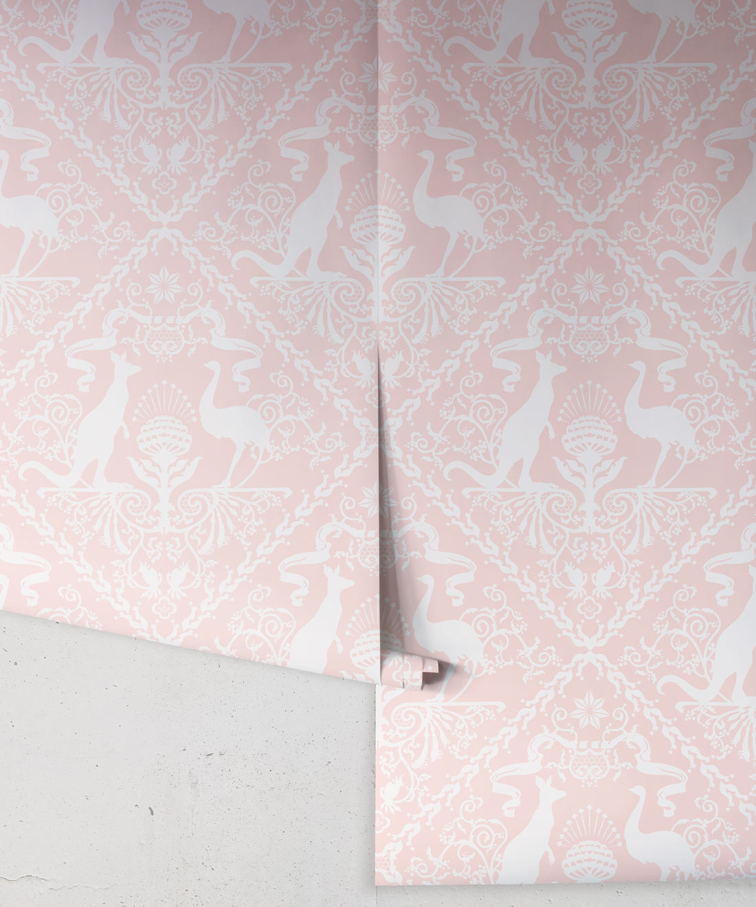 In Australia We Trust Wallpaper, Coral