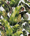 Kingdom Palm Wallpaper, Day