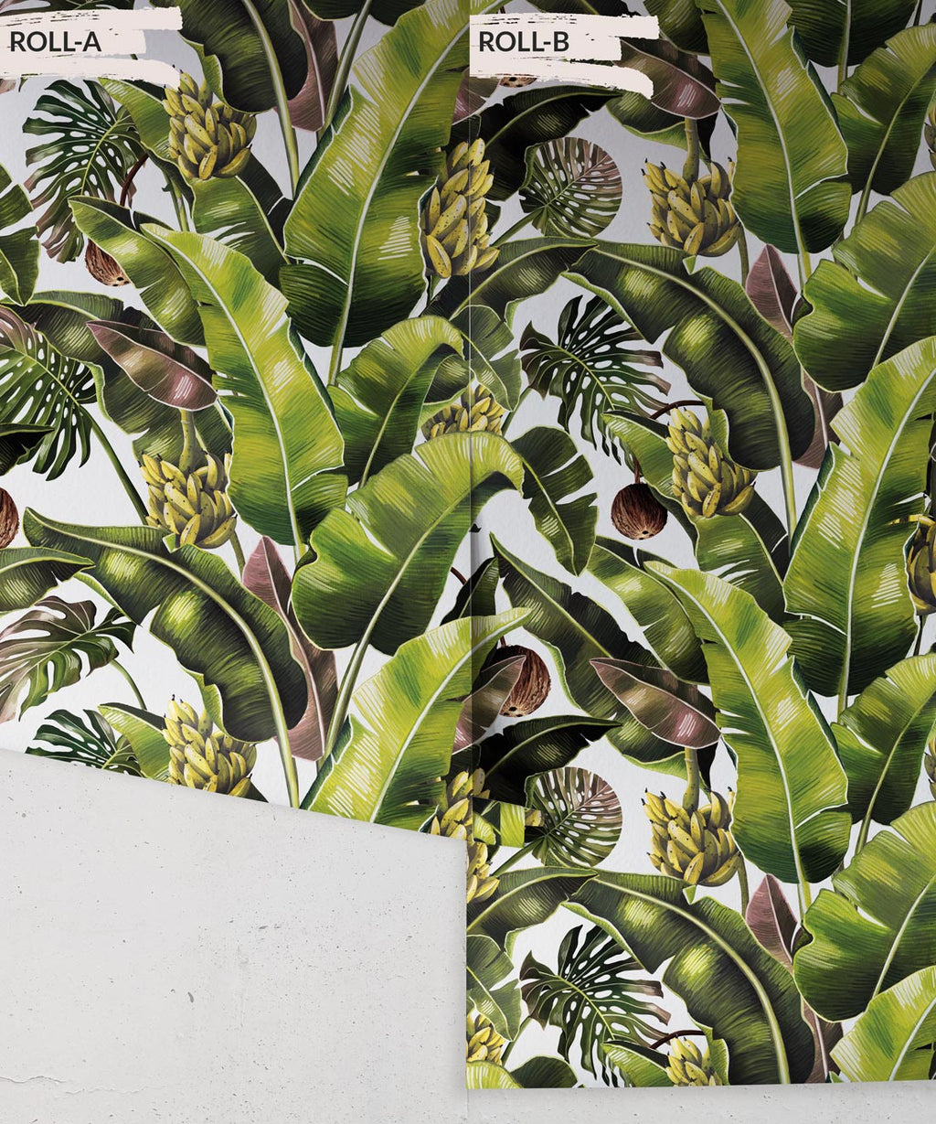 Kingdom Palm Wallpaper, Day