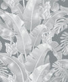 Kingdom Palm Wallpaper, Roca