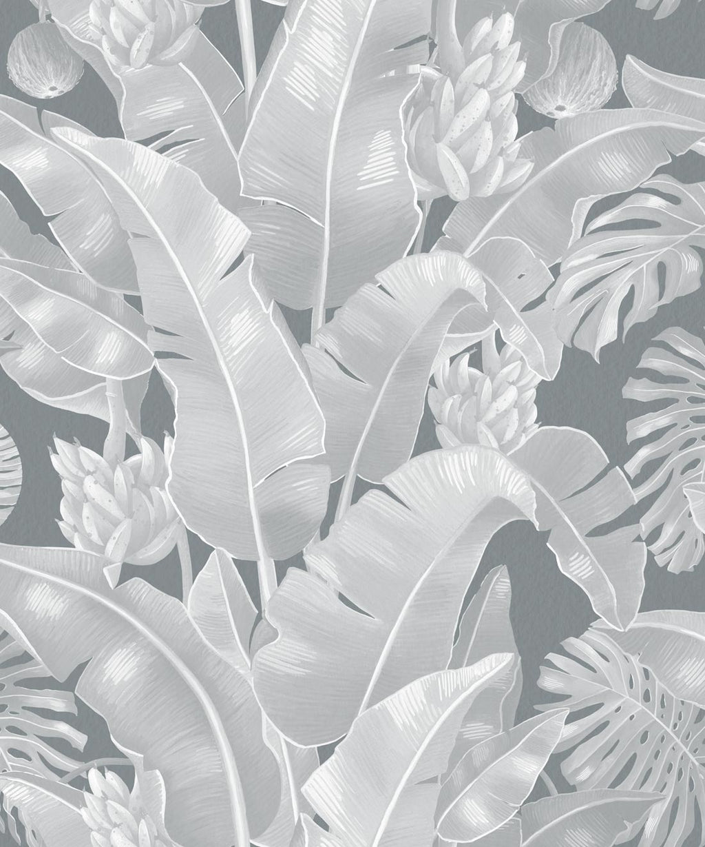 Kingdom Palm Wallpaper, Roca