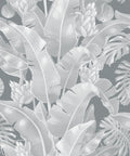 Kingdom Palm Wallpaper, Roca