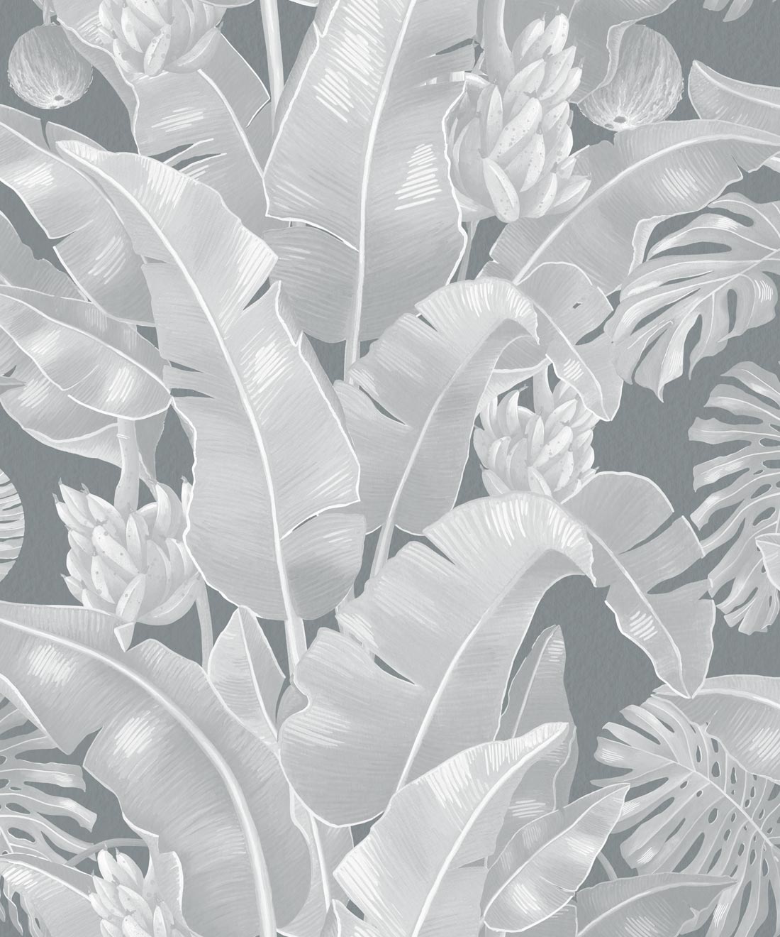 Kingdom Palm Wallpaper, Roca