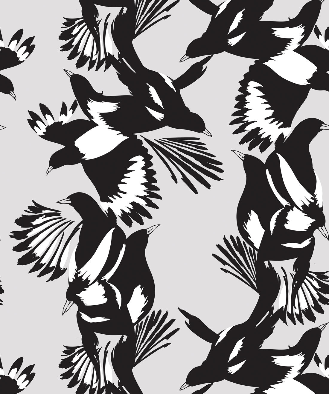 Magpie Wallpaper, Black & White