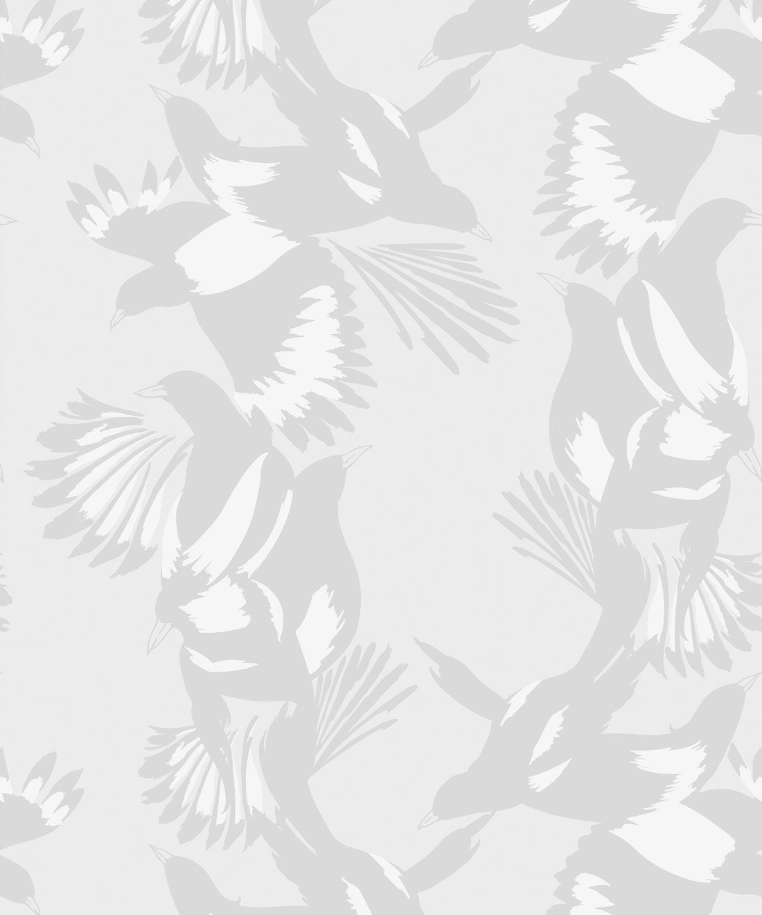 Magpie Wallpaper, Bondi