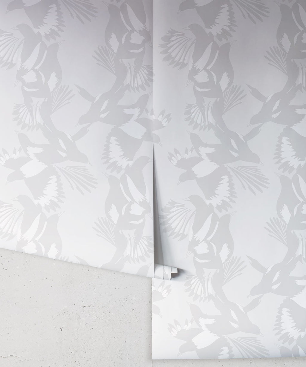 Magpie Wallpaper, Bondi