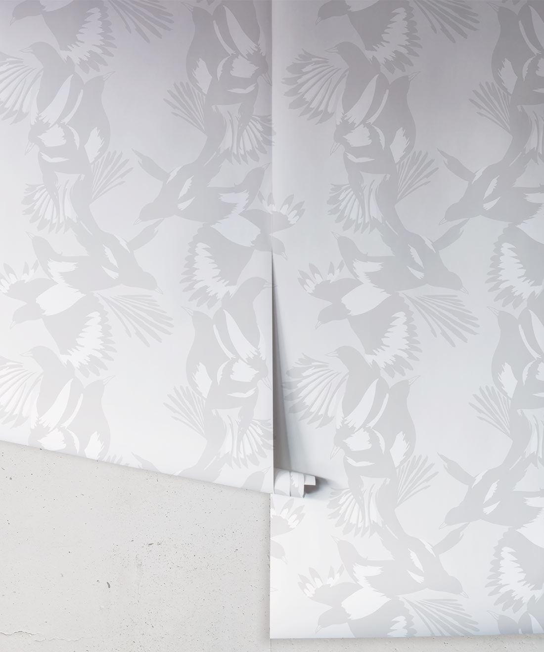 Magpie Wallpaper, Bondi