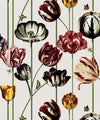 Tulipa Wallpaper, Canvas
