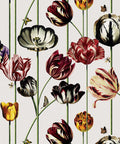 Tulipa Wallpaper, Canvas
