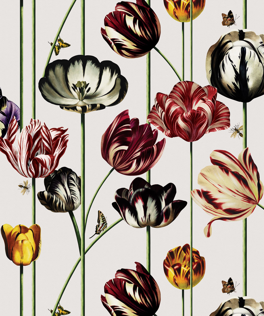 Tulipa Wallpaper, Canvas