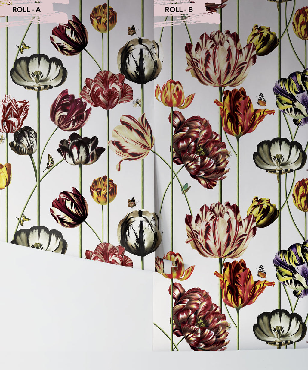 Tulipa Wallpaper, Canvas