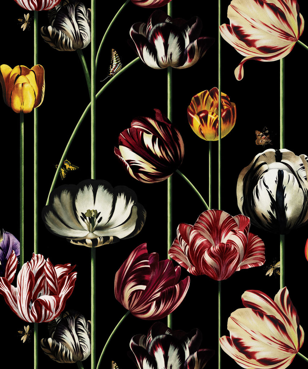 Tulipa Wallpaper, Lux Night