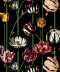 Tulipa Wallpaper, Lux Night