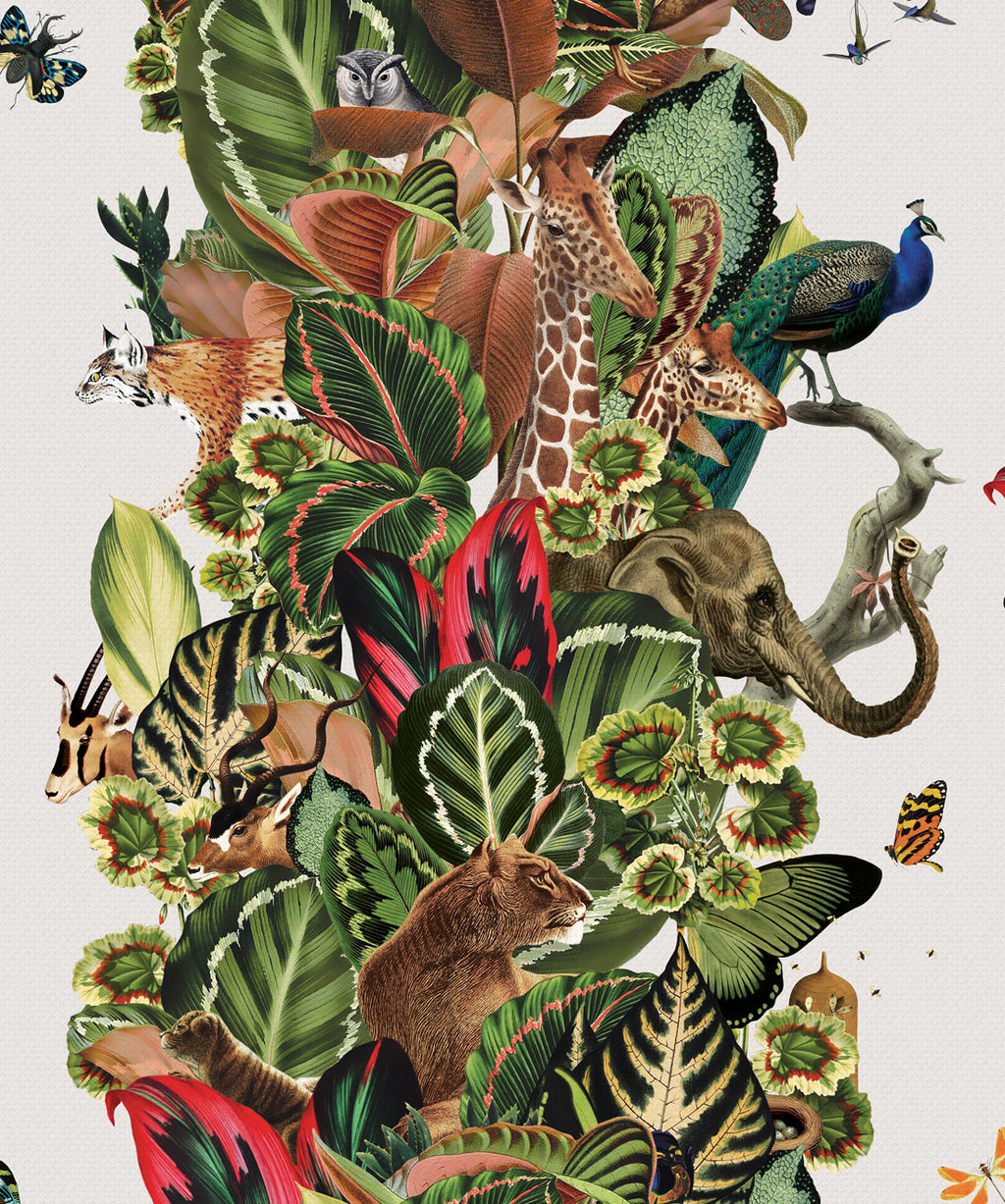Viva Tropicana Wallpaper, Canvas