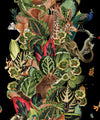Viva Tropicana Wallpaper, Night