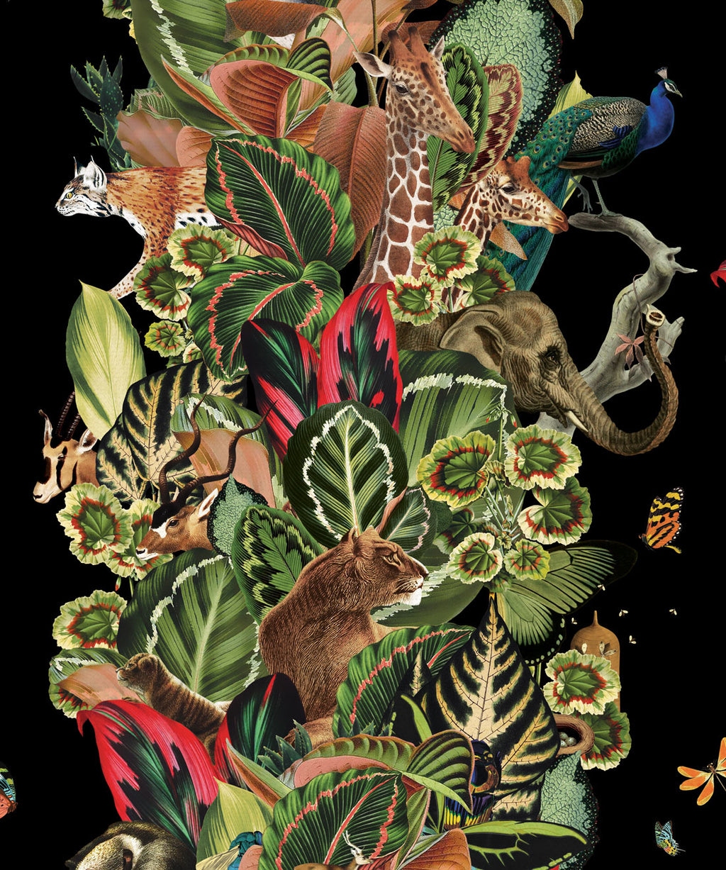 Viva Tropicana Wallpaper, Night