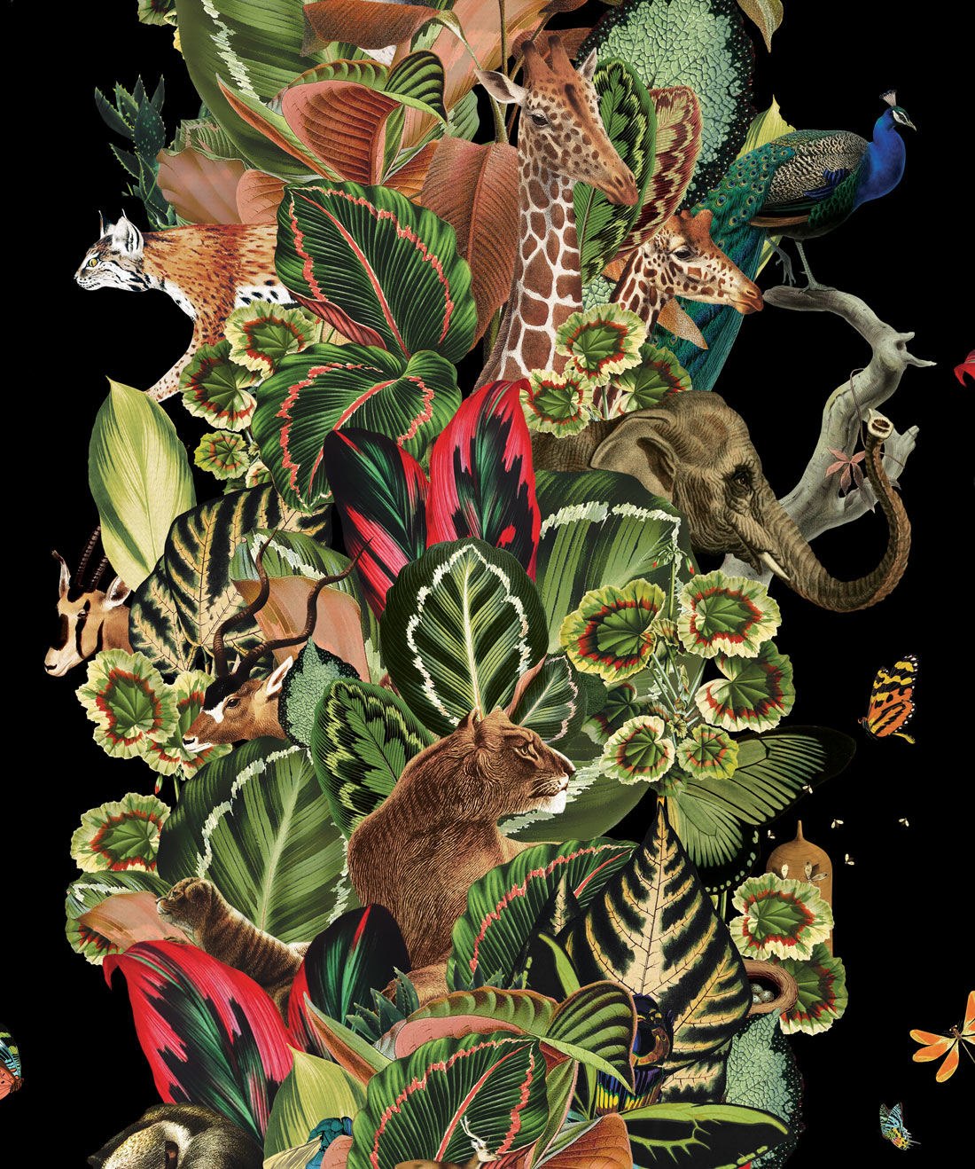 Viva Tropicana Wallpaper, Night