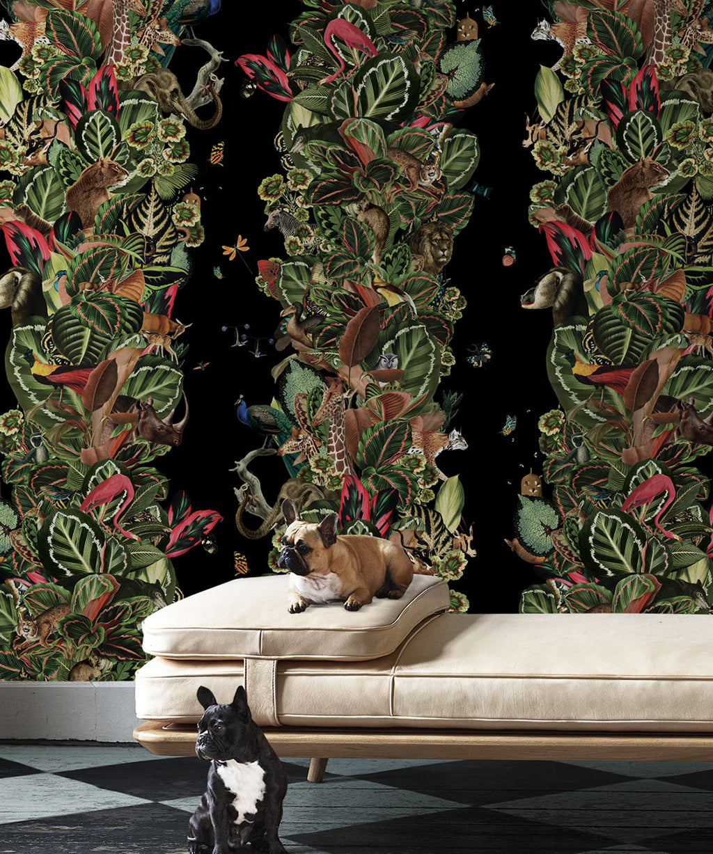 Viva Tropicana Wallpaper, Night