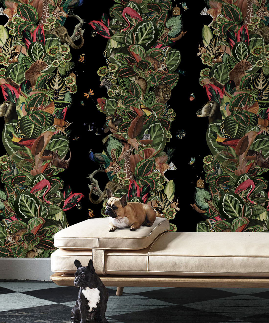 Viva Tropicana Wallpaper, Night