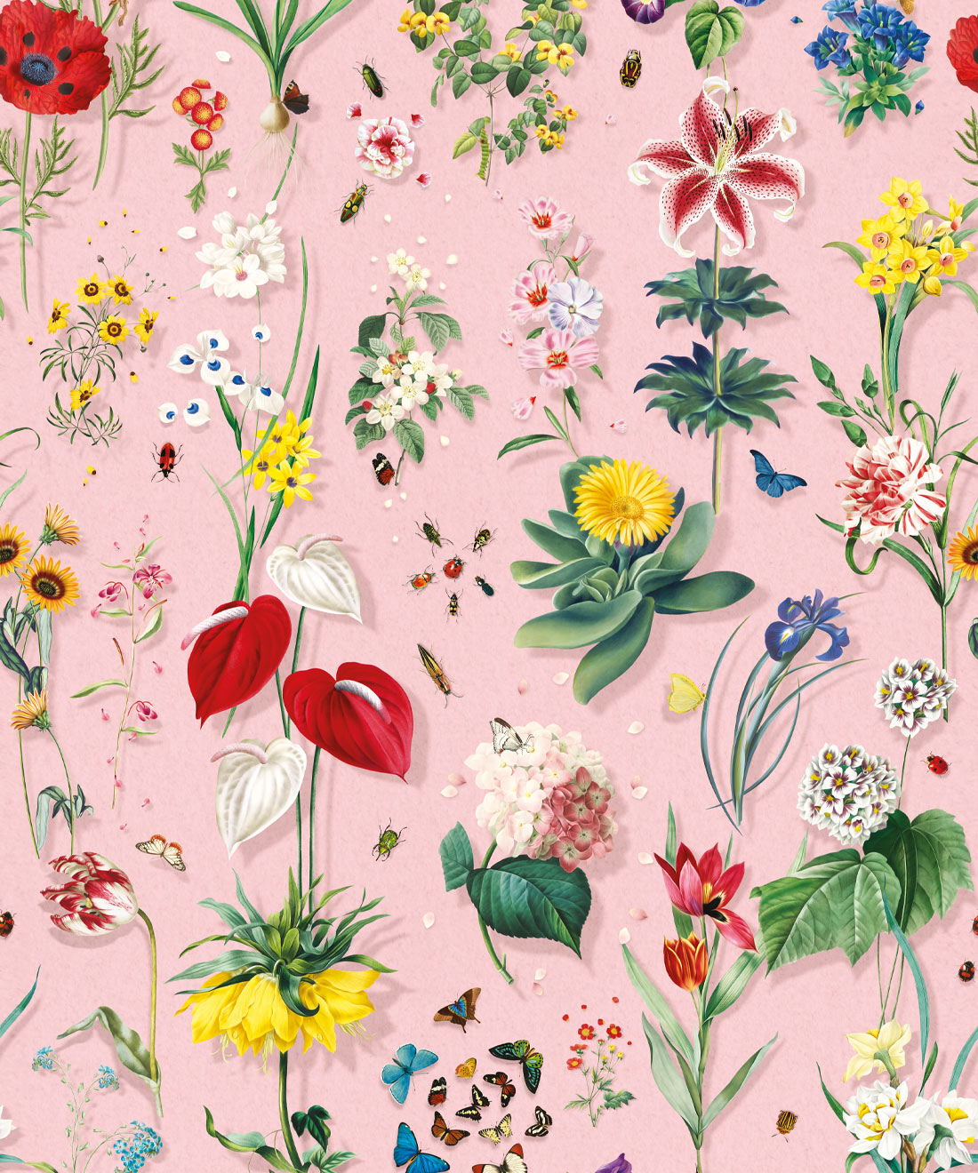 Jolie Wallpaper, Ribbon