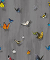 Papilio Wallpaper, Night