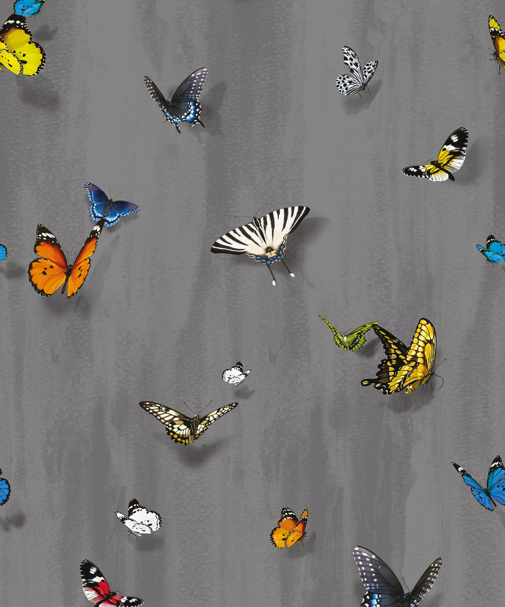 Papilio Wallpaper, Night