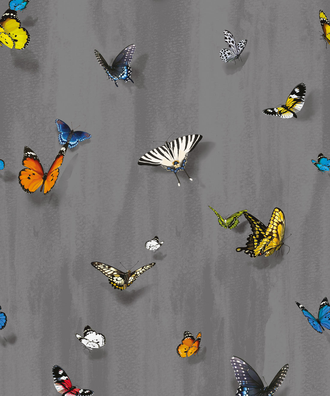 Papilio Wallpaper, Night