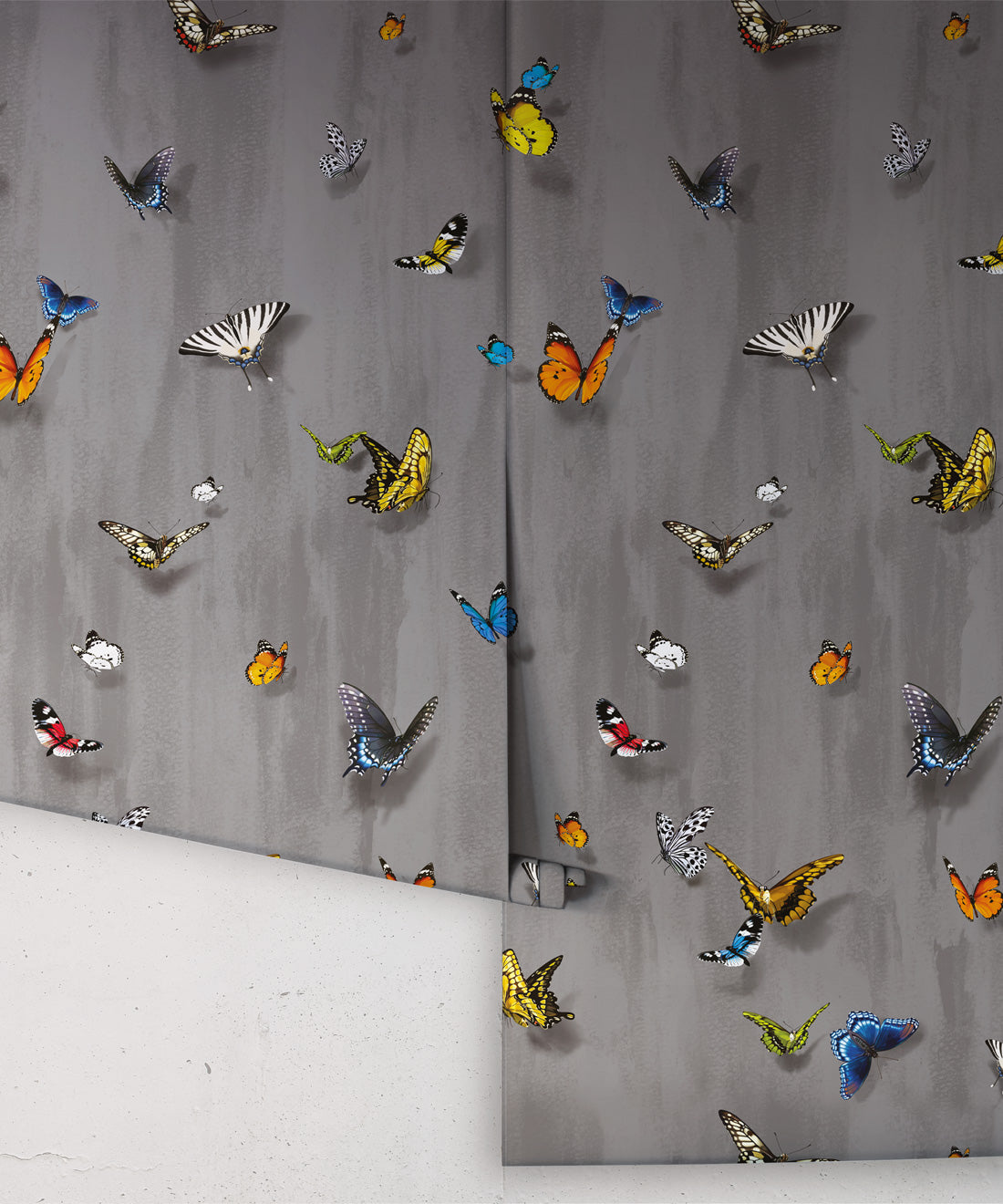 Papilio Wallpaper, Night